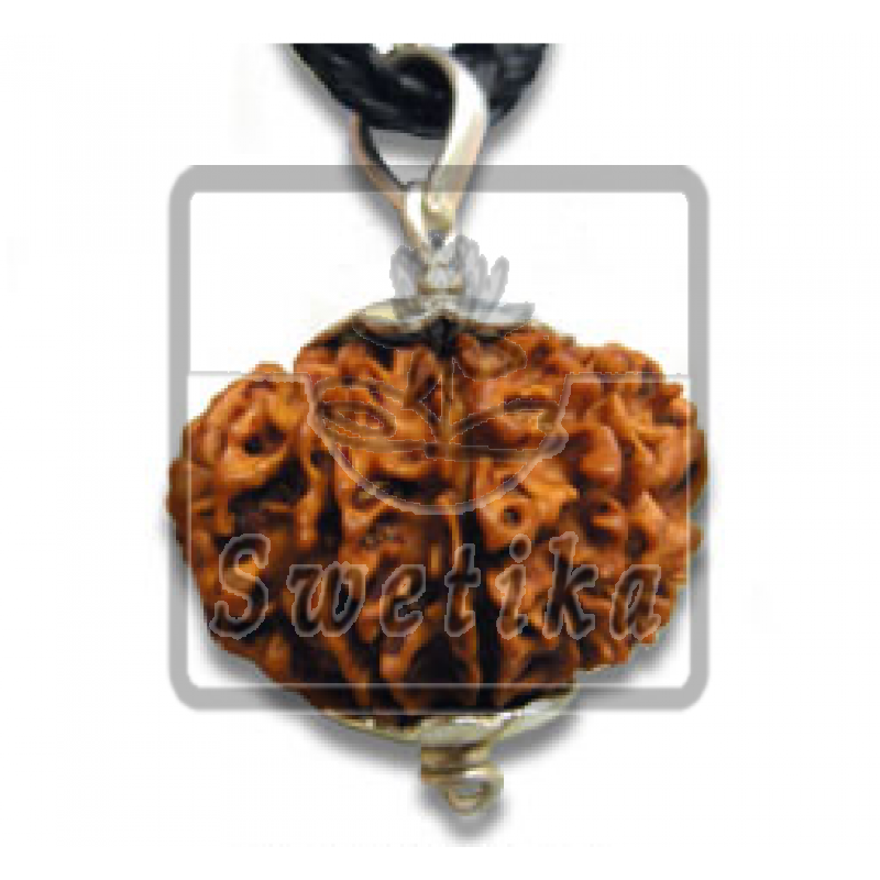 10 Mukhi Rudraksha Pendant