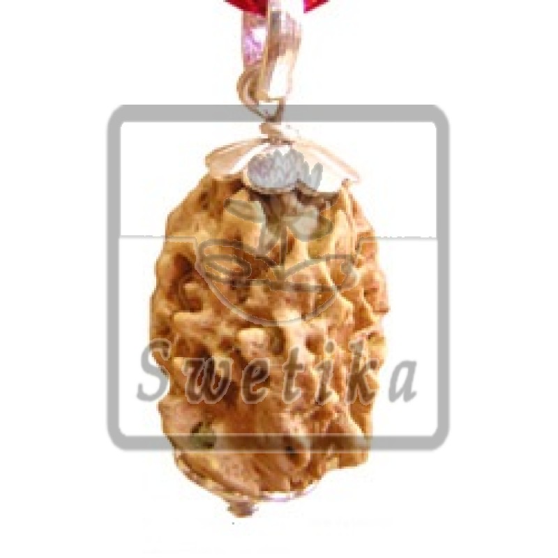 2 Mukhi Rudraksha Pendant