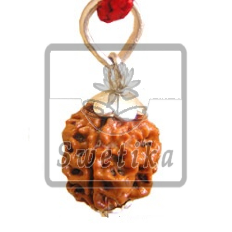 3 Mukhi Rudraksha Pendant 