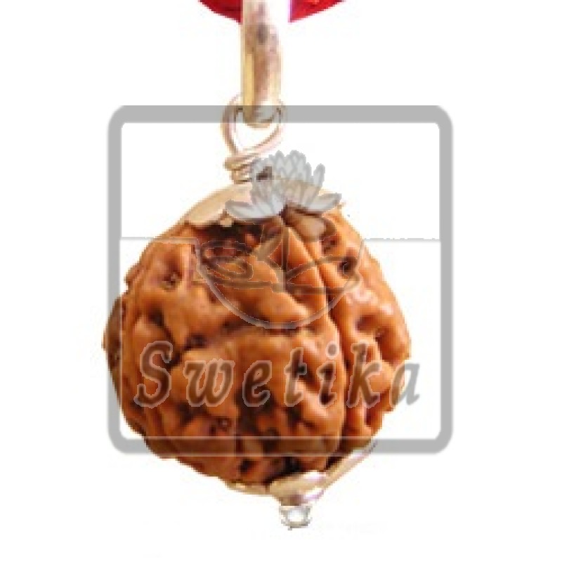 4 Mukhi Rudraksha Pendant
