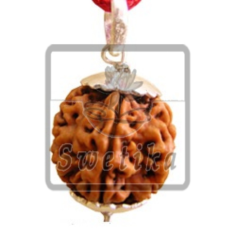 5 Mukhi Rudraksha Pendant