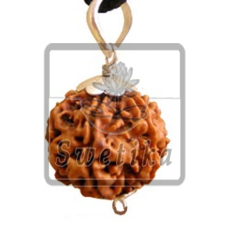 6 Mukhi Rudraksha Pendant