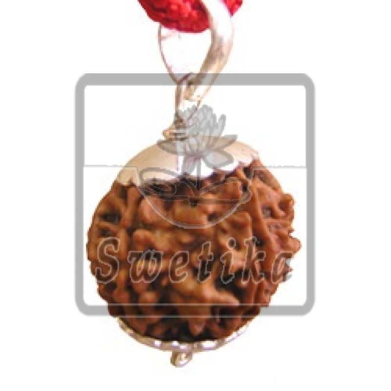 7 Mukhi Rudraksha Pendant