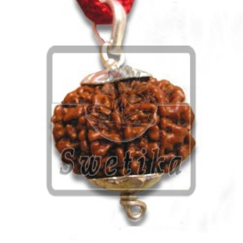 9 Mukhi Rudraksha Pendant