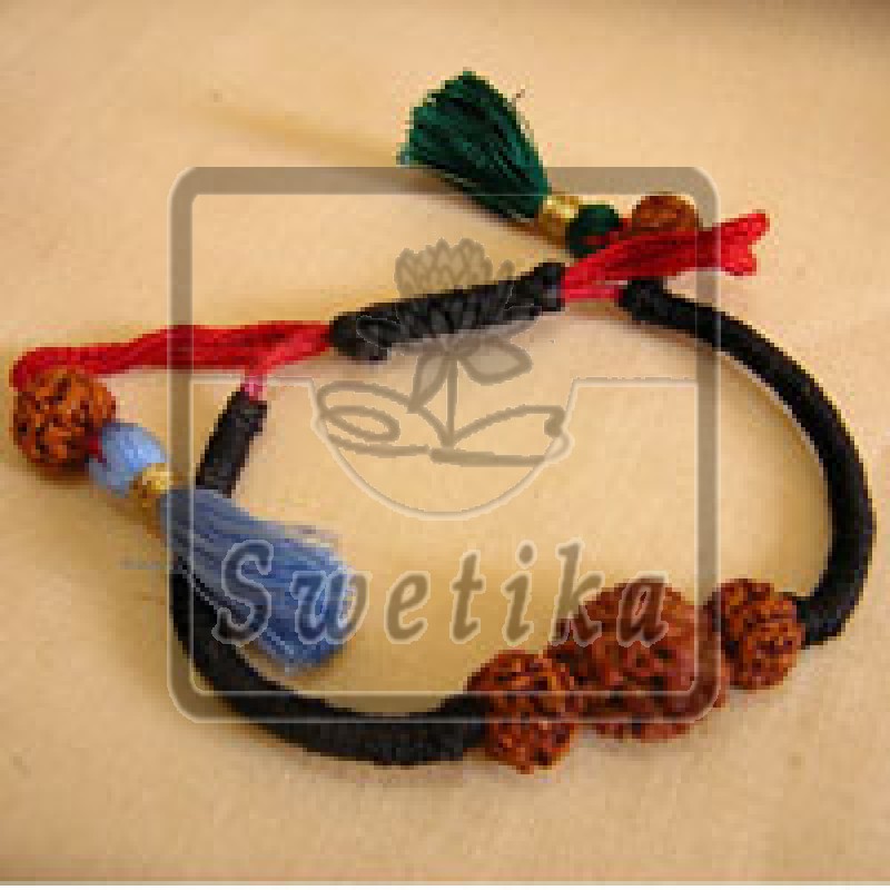 2 Mukhi Rudrakhs Polsband