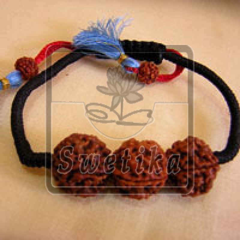 5 Mukhi Rudrakhsa Polsband