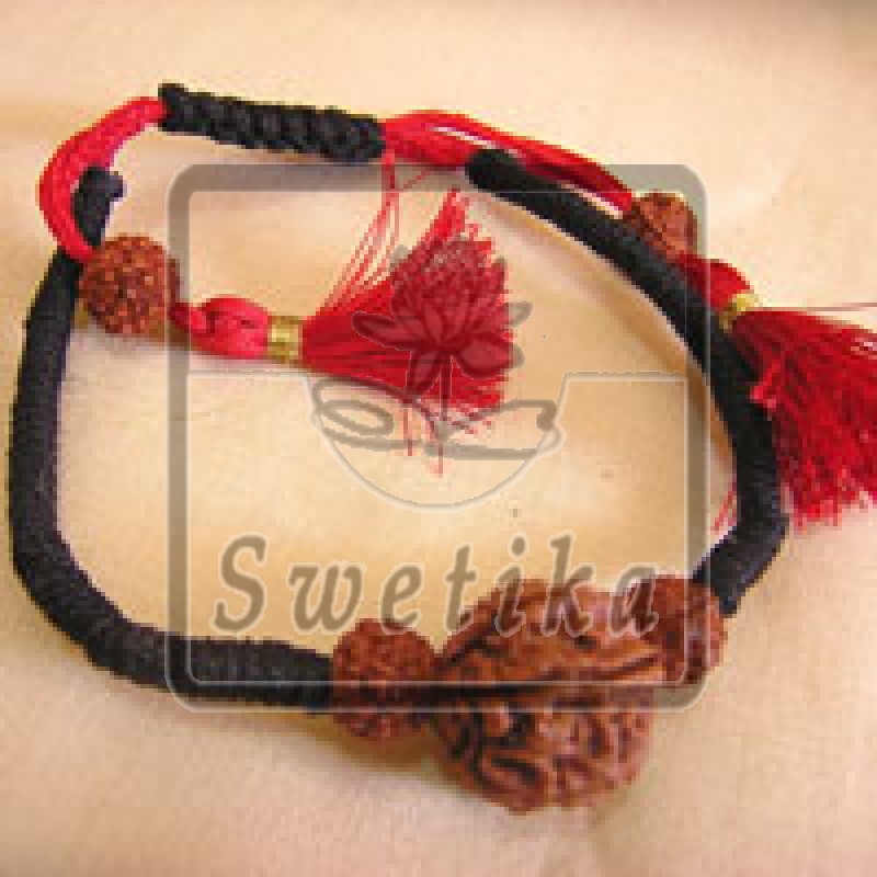 7 Mukhi Rudrakhsa Polsband