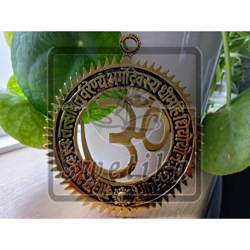 Huisbeschermer OHM (goud)