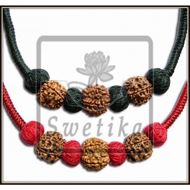 Rudraksha Educatie