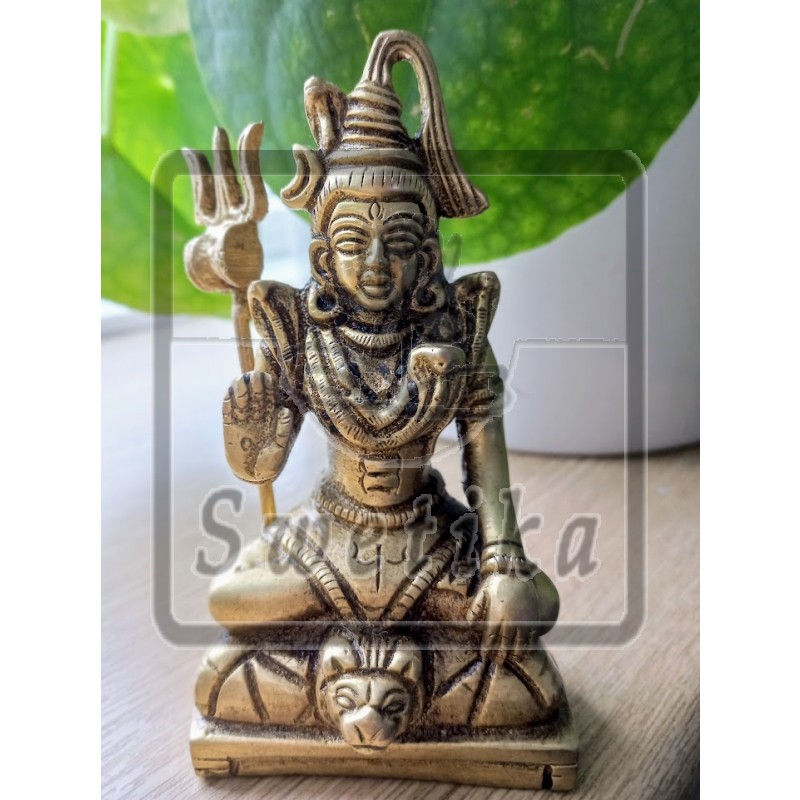 Shiva Yogi